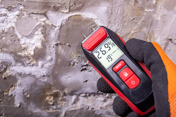 Best Crawl Space Mold Removal  in Algonquin, IL