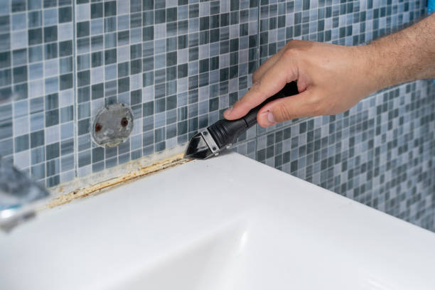 Best Mold Removal Near Me  in Algonquin, IL